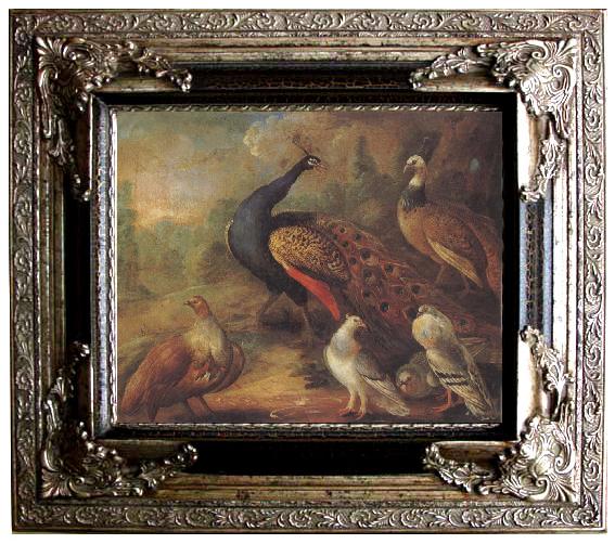 framed  Marmaduke Cradock Peacock and Partridge, Ta053